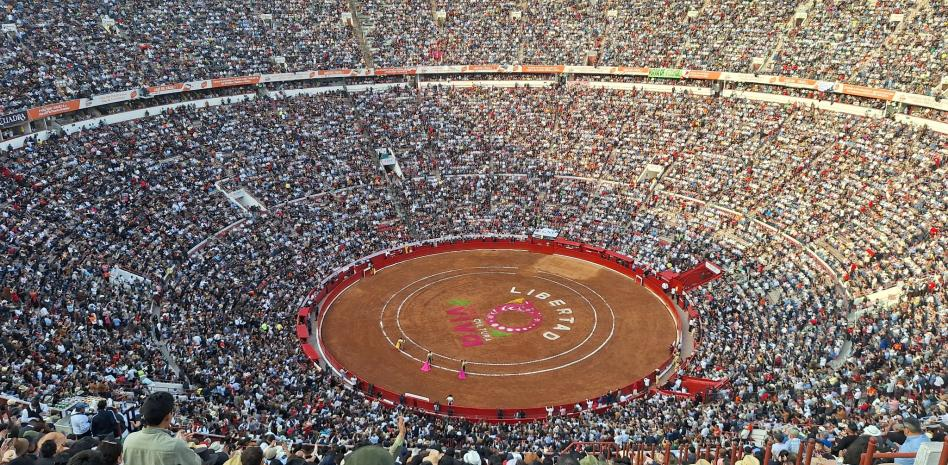 Activistas entregan pliego para prohibir corridas de toros en Ciudad de México